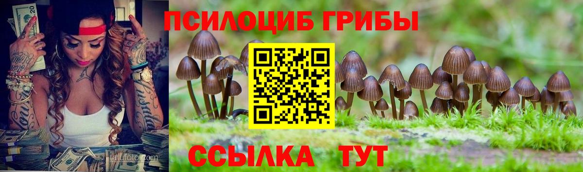 Уссурийск  Галлюциногенные грибы GOLDEN TEACHER  Вход с VPN 